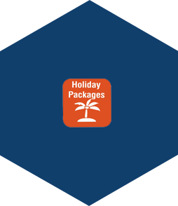HOLIDAY PACKAGES