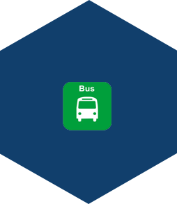 BUS RENTAL