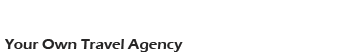 Become travel agent